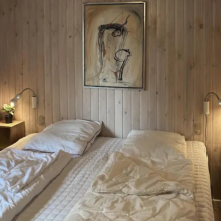 Сasa de vacaciones Romo With Fireplace 04